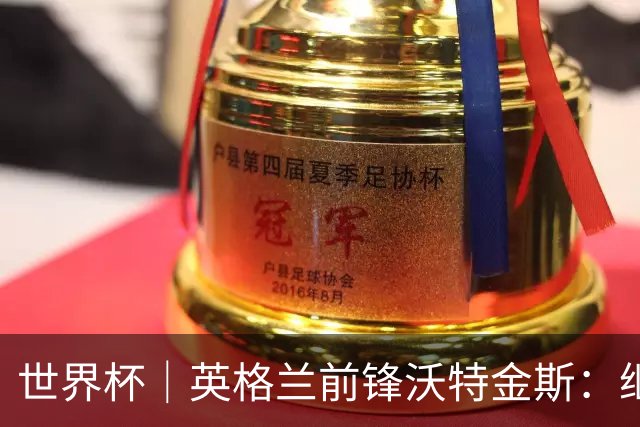 世界杯｜英格兰前锋沃特金斯：继续当好“超级替补”